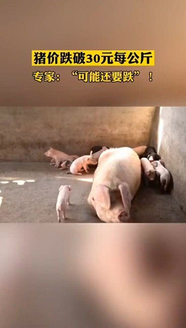 港澳新闻 第40页